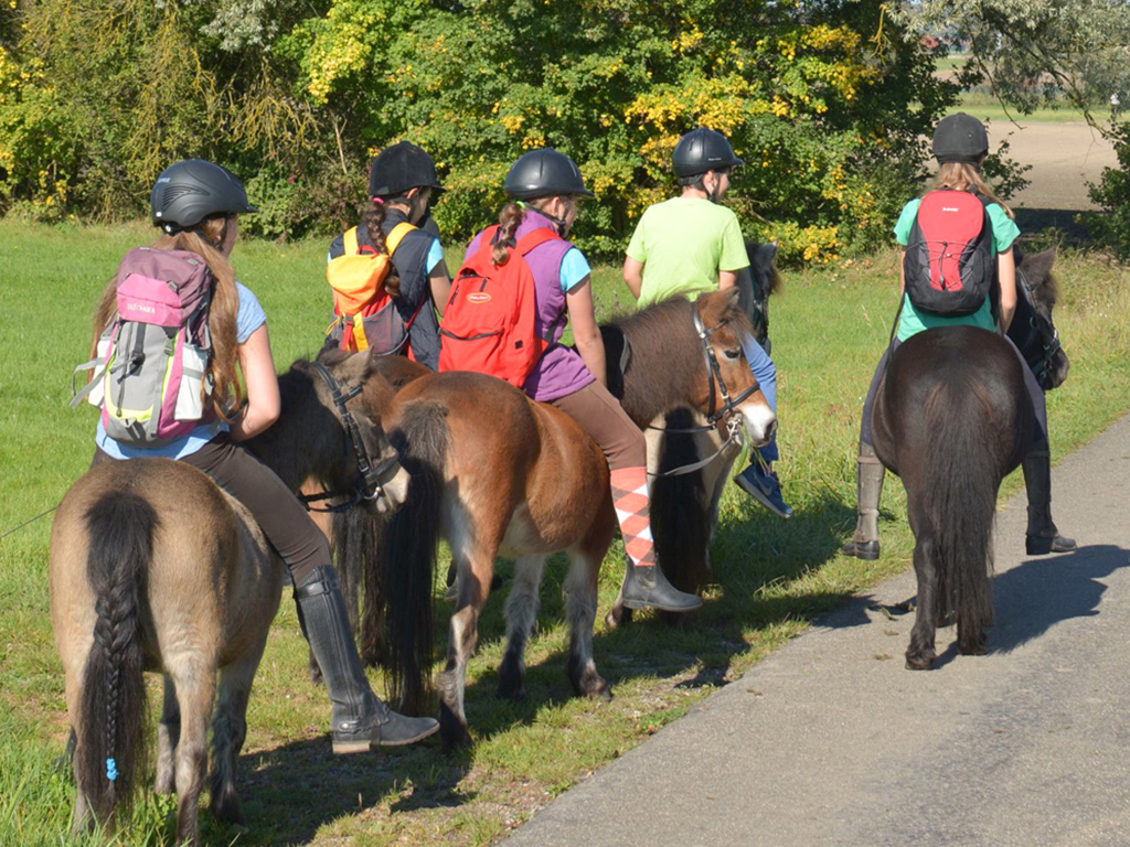 kinder reiten mit ponys durch die gegend