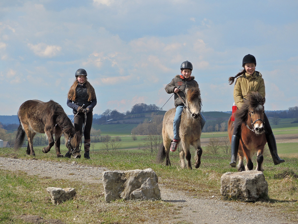 3 kinder reiten auf ponys in landschaft