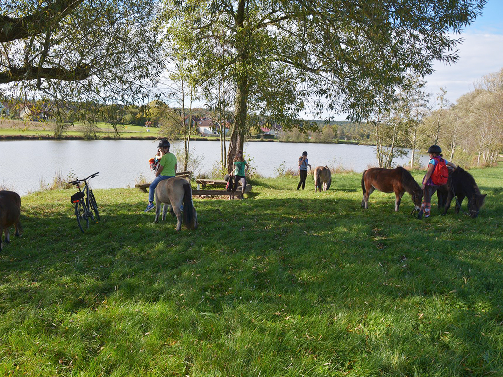 kinder mit ponys machen pause am see