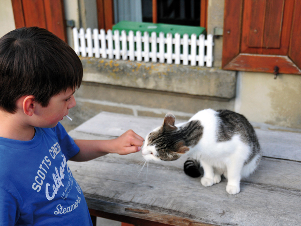 junge streichelt ein katze