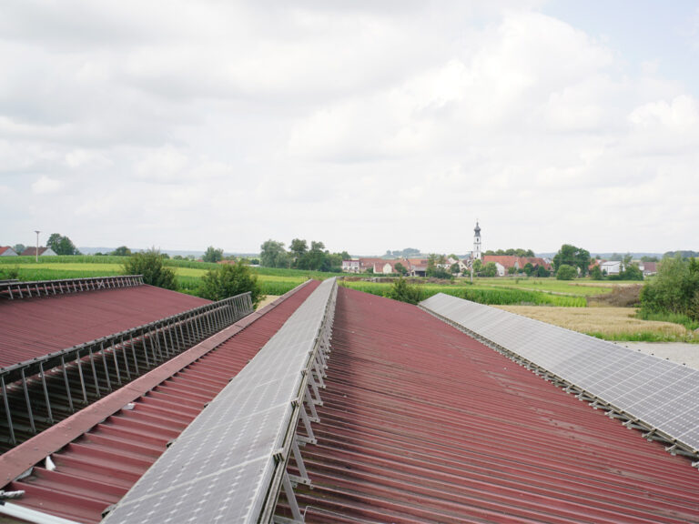 solaranlage auf dem schweinestalldach