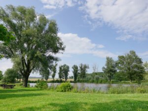 Liegewiesen und Sitzplatz am Badeweiher Binzwangen