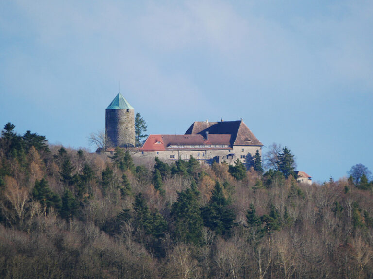 ansicht burg colmberg mit wald im vordergrund