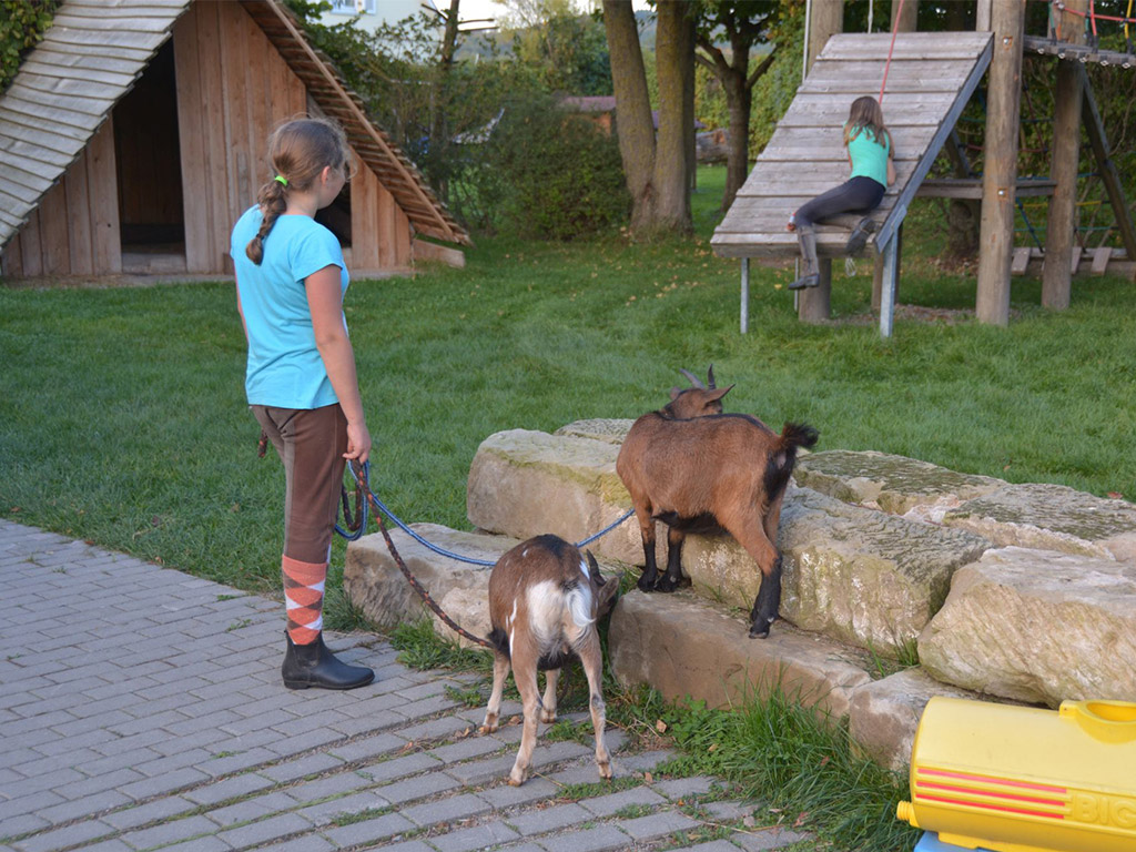 mädchen mit 2 ziegen an der leine