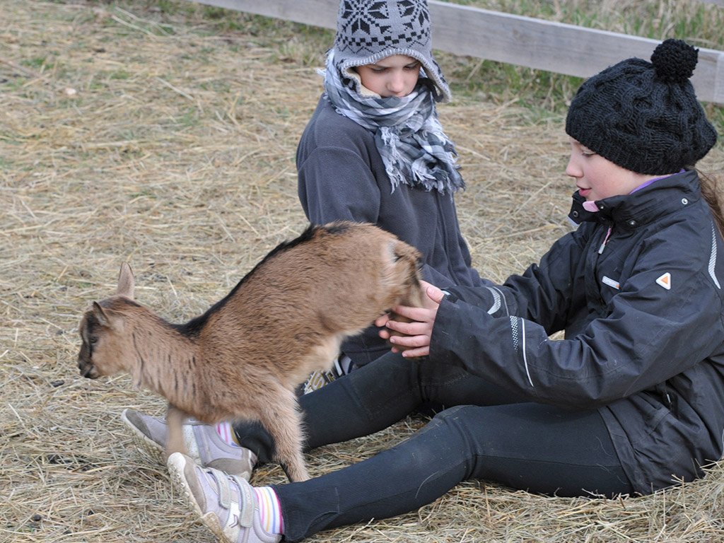 zwei kinder spielen mit ziege