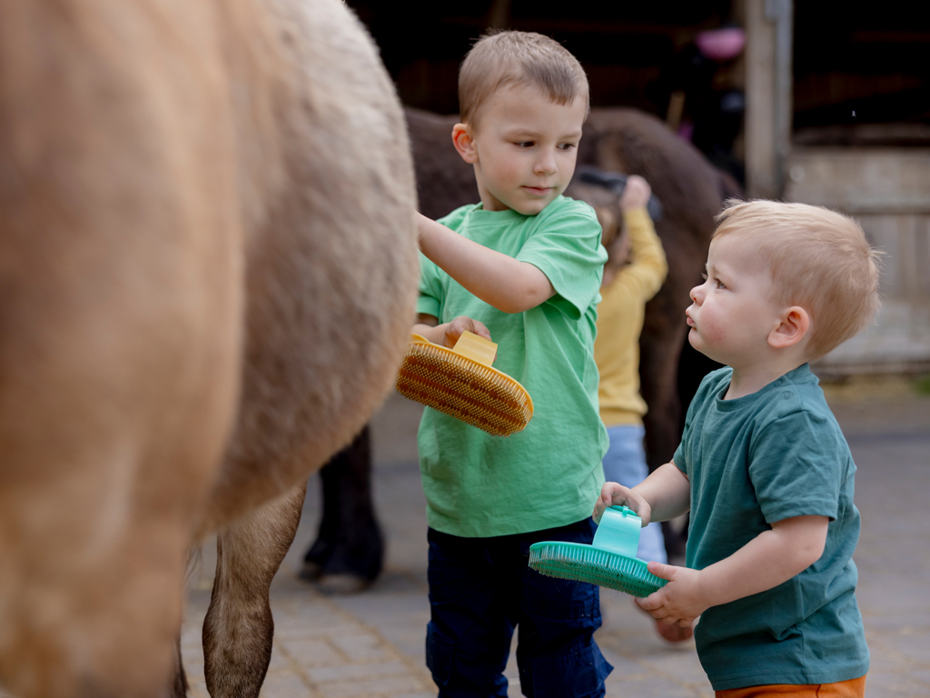 Kleinkinder bürsten die Pferde