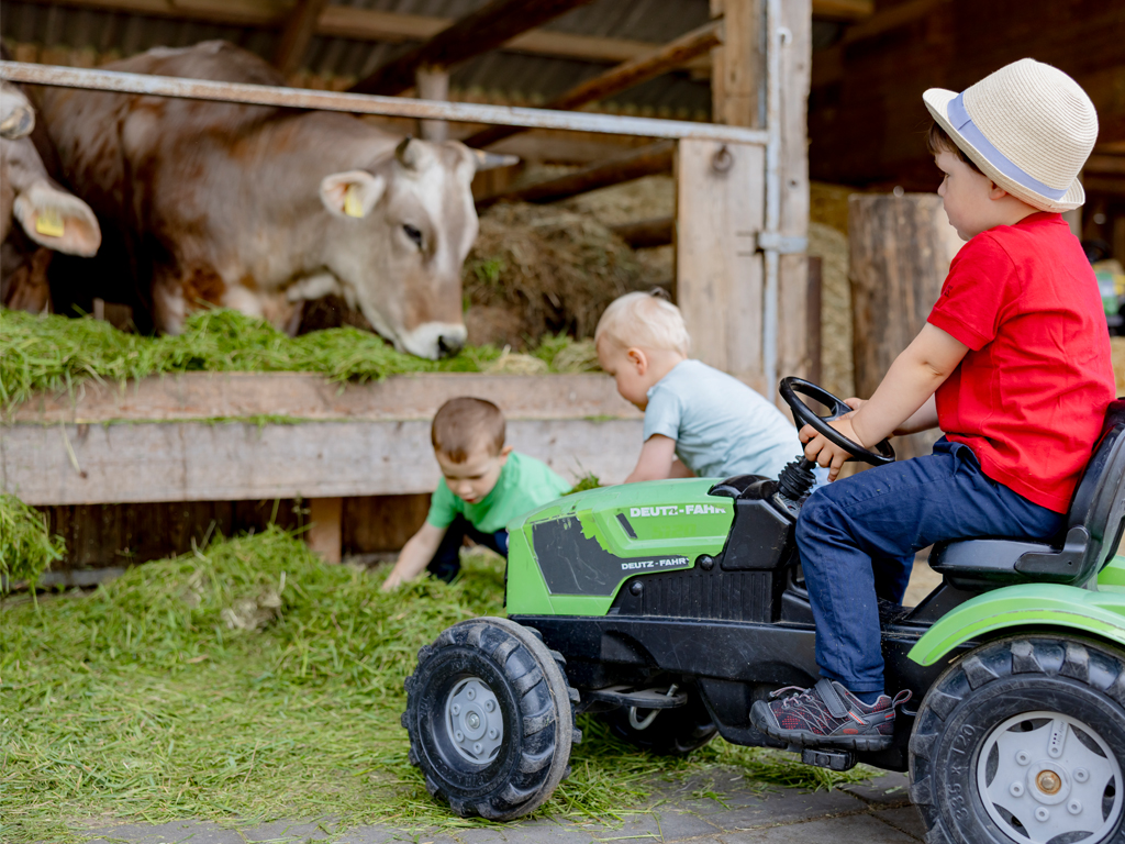 2 Kinder füttern Kühe und 1 Kind mit Fahrzeug