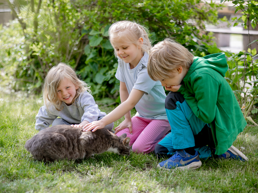 Kinder streicheln Katze