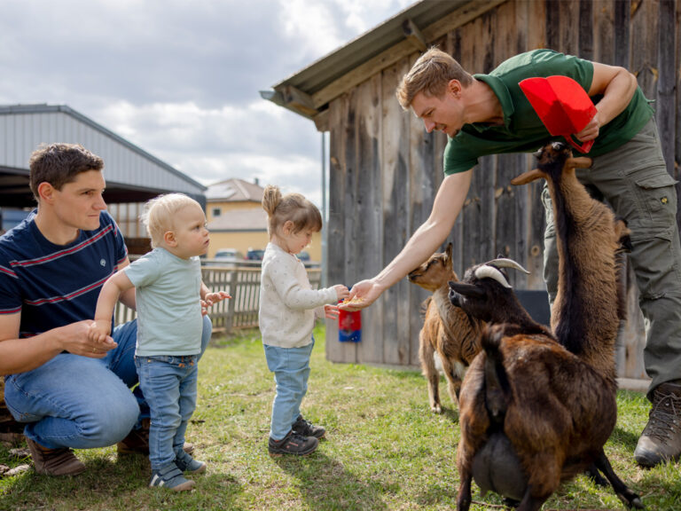 Kinder lernen Tiere kennen