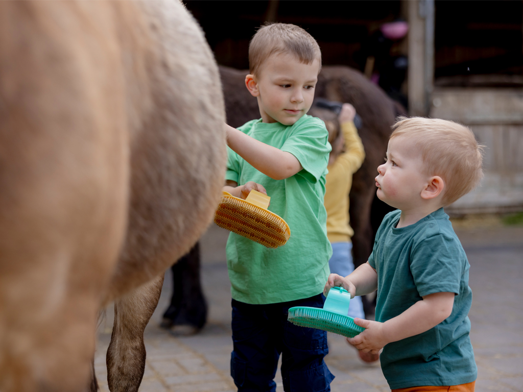 2 kleine Kinder bürsten ein Pony