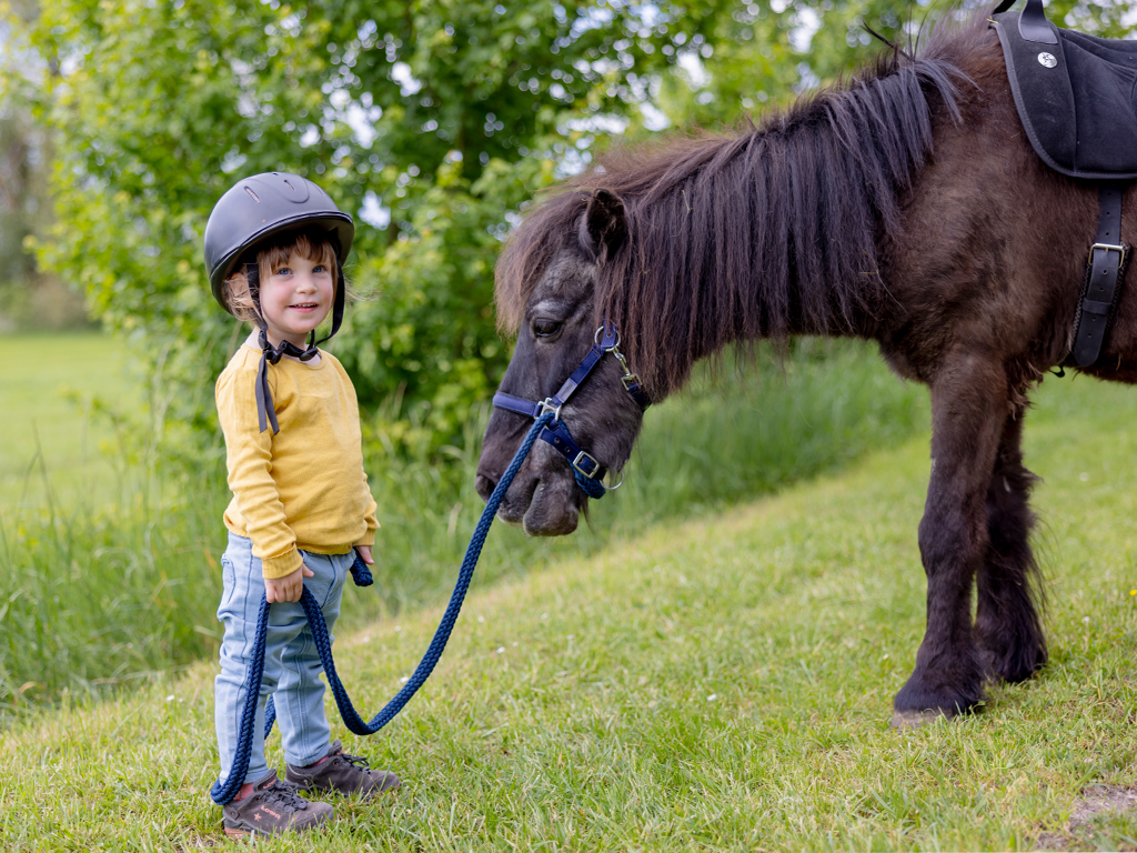 Kleines Kind hat ein Pony an der Leine